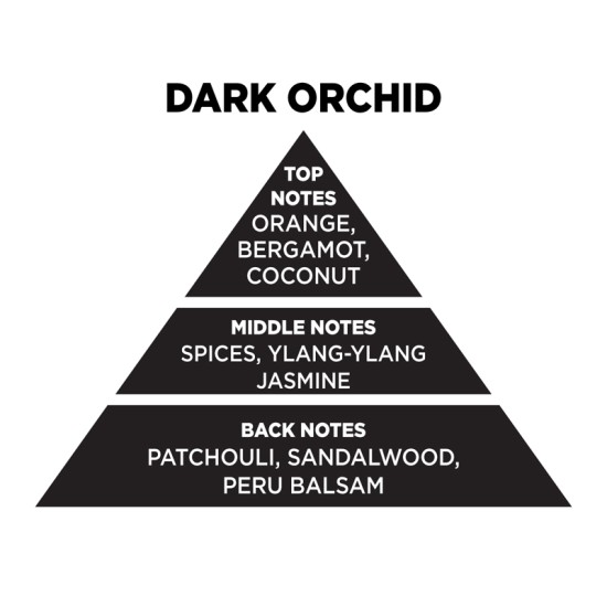 Αρωματικό Χώρου Σε Μαύρο Μπουκάλι Με Μαύρα Sticks "Dark Orchid" 200ml Themagio 77327