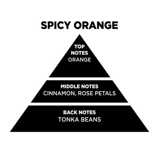 Αρωματικό Χώρου Σε Μαύρο Μπουκάλι Με Μαύρα Sticks "Spicy Orange" 200ml Themagio 77333