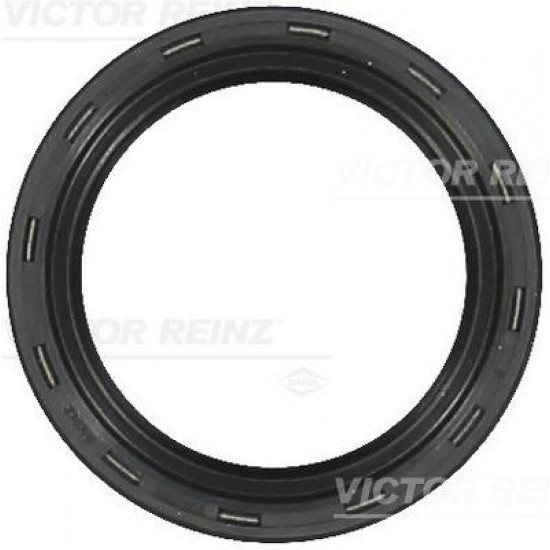 ΤΣΙΜΟΥΧΑ ΣΤΡΟΦΑΛΟΥ TRANSIT 2.0 Ecoblue (ΚΑΠΑΚΙ)-Victor Reinz-RZ811049600