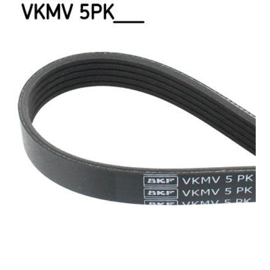 IMANTAΣ ΔYNAMO 5PKx1368mm C-C TIGRA-B Z12+14XEP