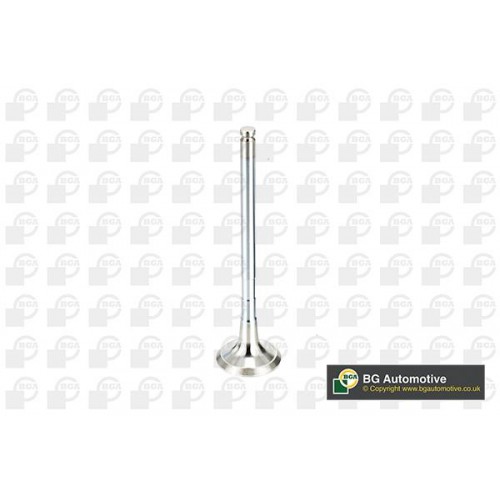 ΒΑΛΒΙΔΑ ΕΞΑΓΩΓΗΣ-British Gasket BGA-BGV991774