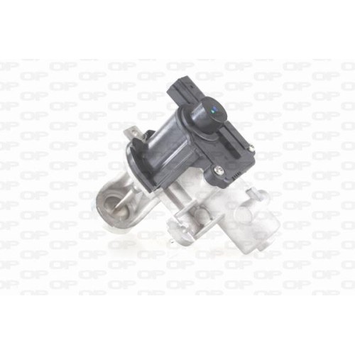 ΒΑΛΒΙΔΑ EGR AUDI A4 B6 (8E2)-Open Parts-EGR3045.00