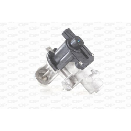 ΒΑΛΒΙΔΑ EGR AUDI A4 B6 (8E2)-Open Parts-EGR3045.00