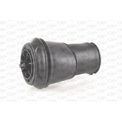 ΑΕΡΟΣΟΥΣΤΑ ΑΜΟΡΤΙΣΕΡ CITROEN C4 Grand Picasso I (UA)-Open Parts-ASP4001.00