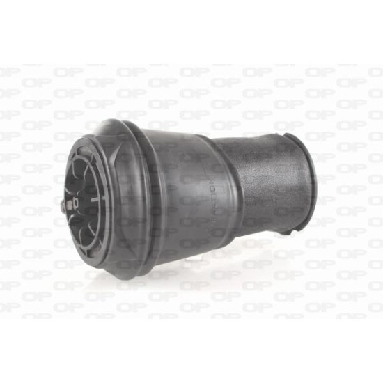 ΑΕΡΟΣΟΥΣΤΑ ΑΜΟΡΤΙΣΕΡ CITROEN C4 Grand Picasso I (UA)-Open Parts-ASP4001.00