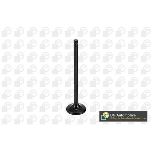 ΒΑΛΒΙΔΑ ΕΞΑΓΩΓΗΣ-British Gasket BGA-BGV998746