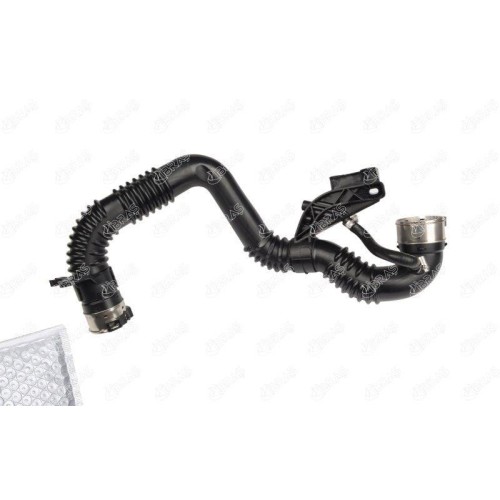 ΣΩΛΗΝΑΣ TURBO NISSAN QASHQAI 1.6 dCI , KADJAR 1.6 dCI (EURO 6)-IBRAS-BR25942