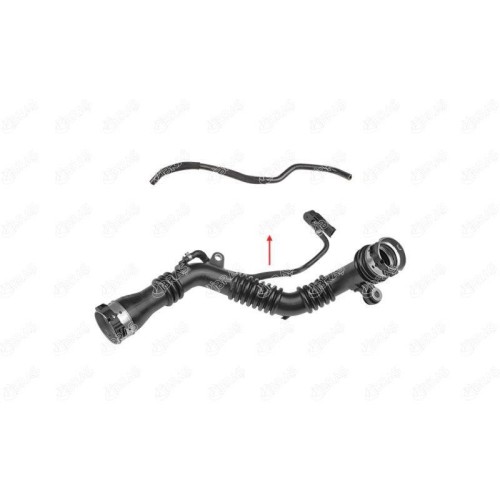 ΚΟΛΑΡΟ ΣΩΛ TURBO RENAULT GRAND SCENIC III (JZ0/1) 1.6 dCi-IBRAS-BR11487