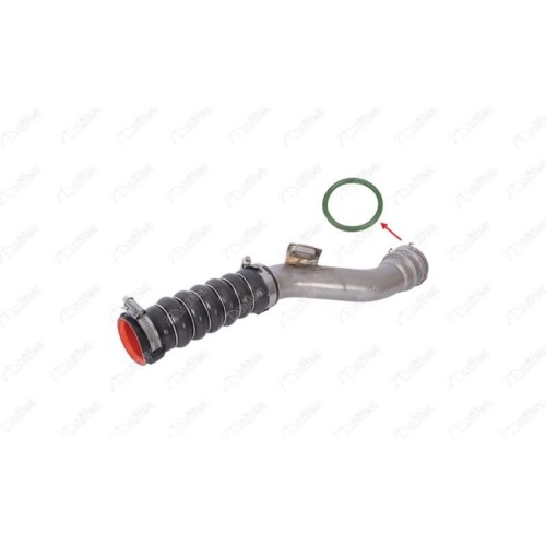 ORING ΣΩΛ. TURBO CLIO III (KR0/1) 1.5 dCI-IBRAS-BR11989