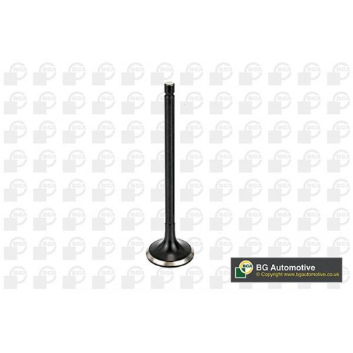 ΒΑΛΒΙΔΑ ΕΞΑΓΩΓΗΣ-British Gasket BGA-BGV166041