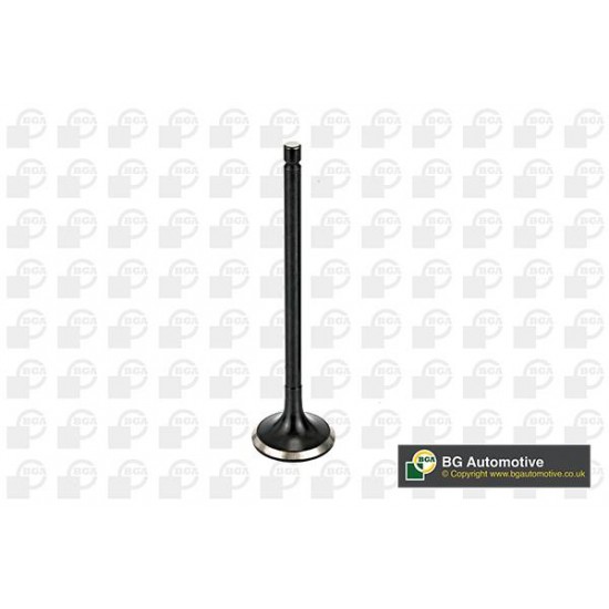 ΒΑΛΒΙΔΑ ΕΞΑΓΩΓΗΣ-British Gasket BGA-BGV166041