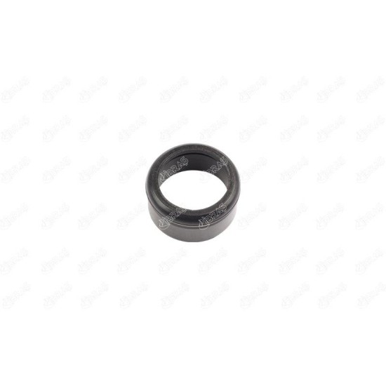 ΛΑΣΤΙΧΑΚΙ ΣΩΛ. TURBO M.B SPRINTER 3,5-t (B906) 318 CDI-IBRAS-BR33492