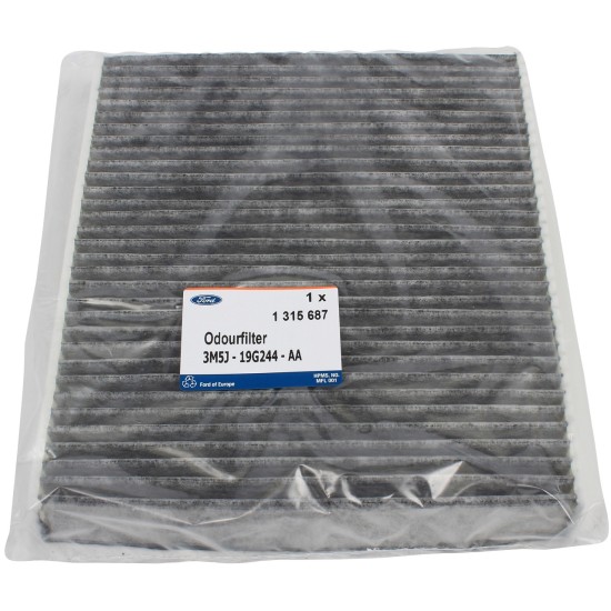 ΦΙΛΤΡΟ ΚΑΜΠΙΝΑΣ C-MAX 03-1315687