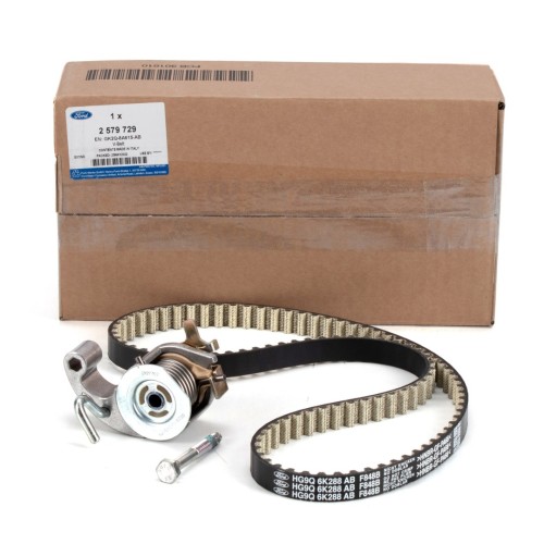 ΣΕΤ ΧΡΟΝΙΣΜΟΥ TRANSIT 2.0 Ecoblue-Ford-FR2631801