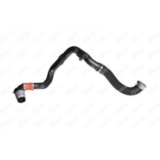 ΚΟΛΑΡΟ TURBO NISSAN NV400 (X62, X62B)-IBRAS-BR12793