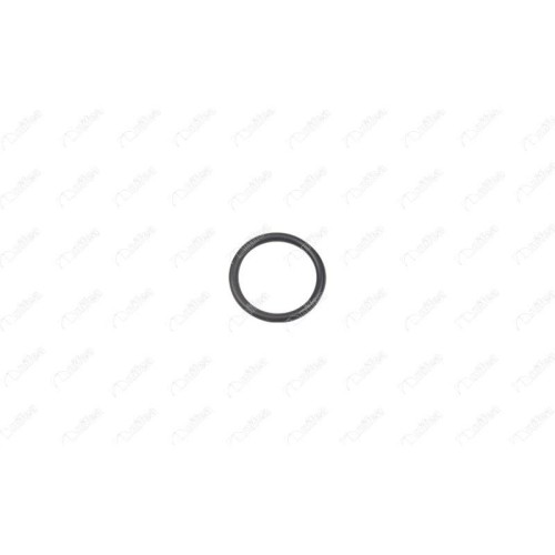 ORING ΣΩΛΗΝΑ ΝΕΡΟΥ 307 (3A/C)-IBRAS-BR17042