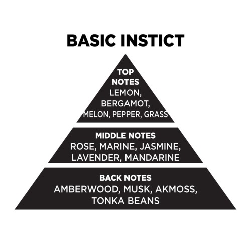 Αρωματικό Χώρου Σε Μαύρο Μπουκάλι Με Μαύρα Sticks "Basic Instict" 200ml Themagio 77329