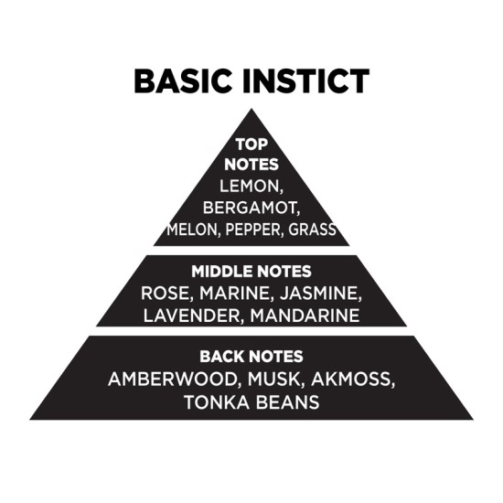 Αρωματικό Χώρου Σε Μαύρο Μπουκάλι Με Μαύρα Sticks "Basic Instict" 200ml Themagio 77329