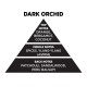 Αρωματικό Χώρου Σε Μαύρο Μπουκάλι Με Μαύρα Sticks "Dark Orchid" 200ml Themagio 77327