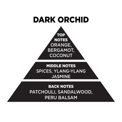 Αρωματικό Χώρου Σε Μαύρο Μπουκάλι Με Μαύρα Sticks "Dark Orchid" 100ml Themagio 77326